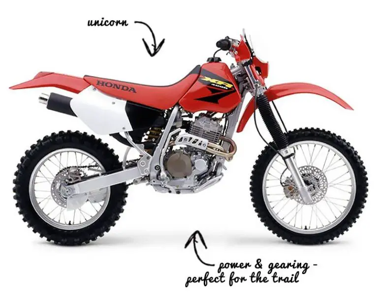 Best Dirt Bike For Trail Riding 450 250 Used 2022 Edition best-dirt-bike-for-trail-riding-450-250-used-2022-edition