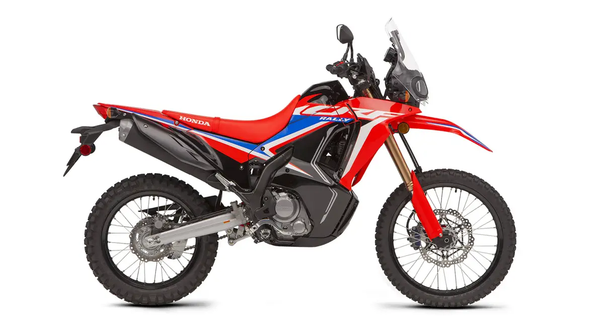 Honda CRF300L Rally Review (Mods, Speed, HP) - Good?
