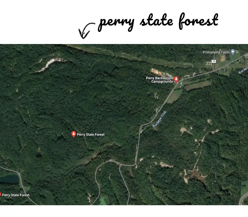 Perry State Forest