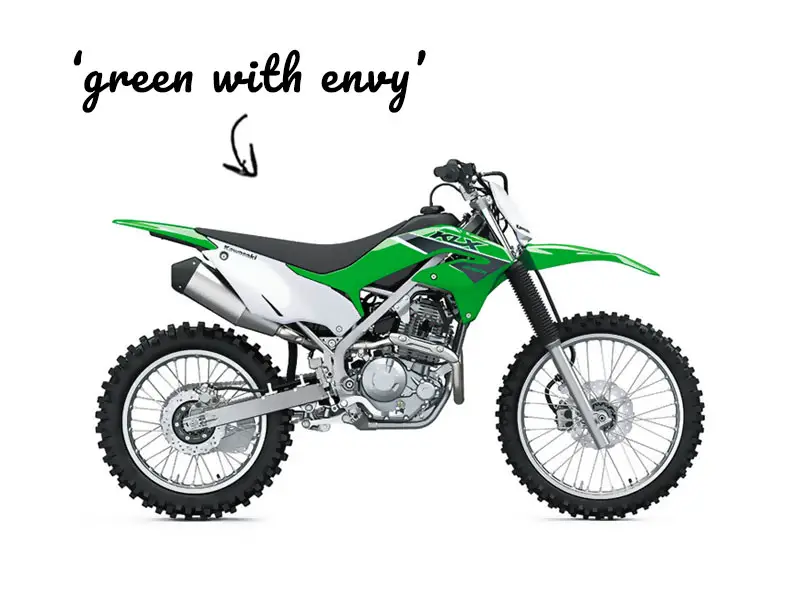 Kawasaki trail bike named Green With Envy