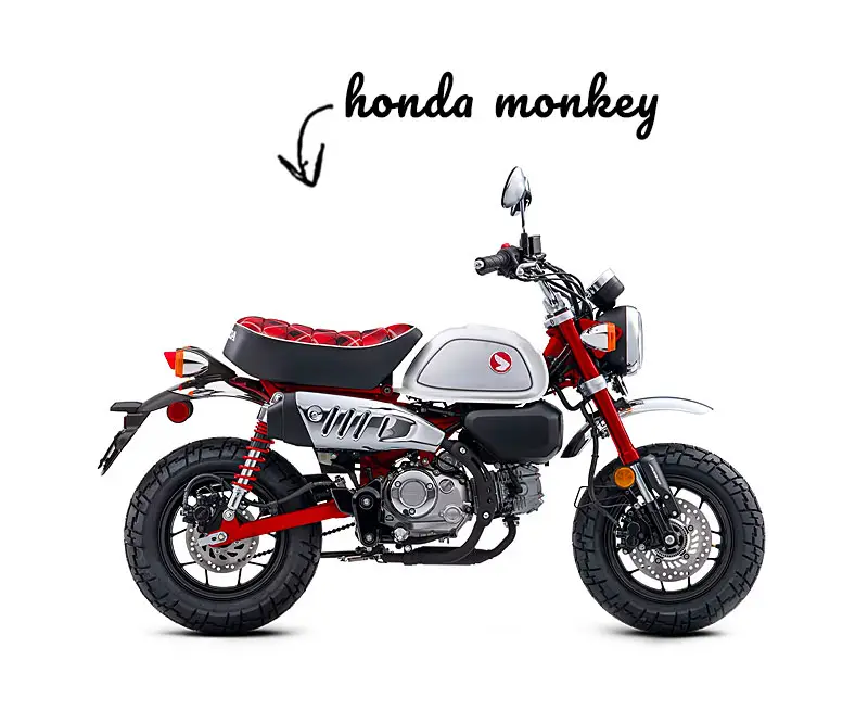 Honda Monkey bike on a white background